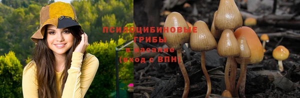 мяу мяу мука Краснотурьинск