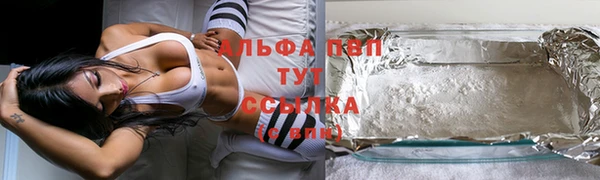 стаф Абинск