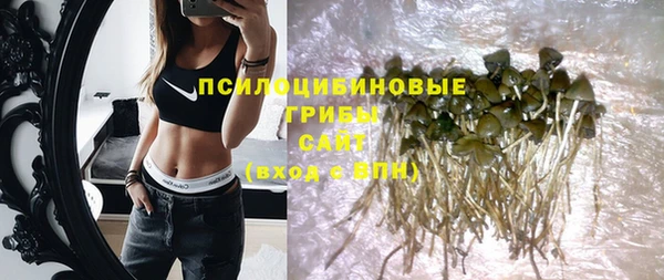 стаф Абинск