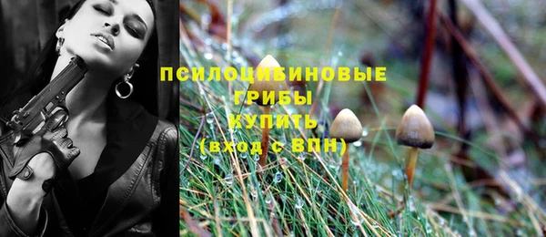 стаф Абинск