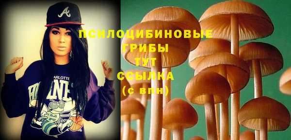 МДМА Абаза