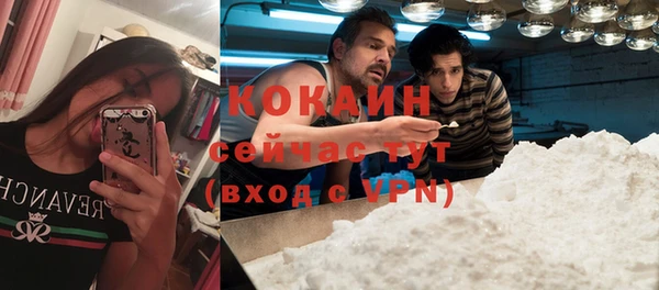 стаф Абинск