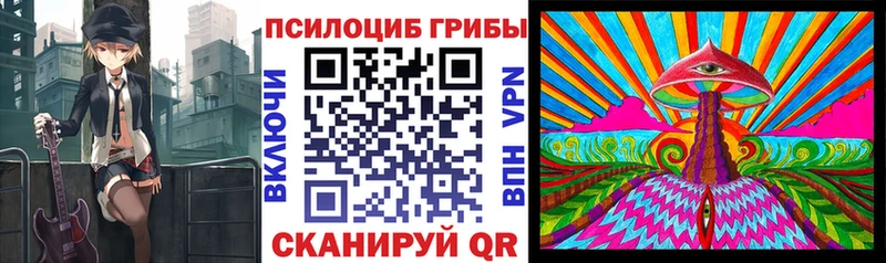 Псилоцибиновые грибы GOLDEN TEACHER  магазин  наркотиков  Зеленогорск 